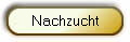 Nachzucht