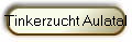 Tinkerzucht Aulatal