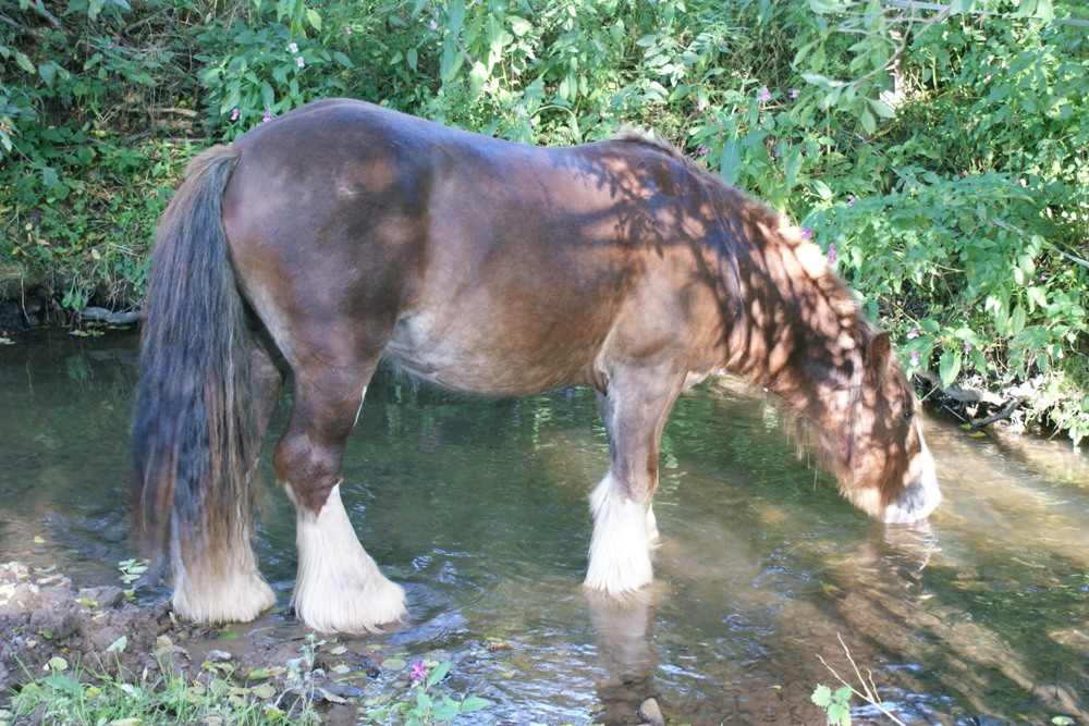 royal220920095